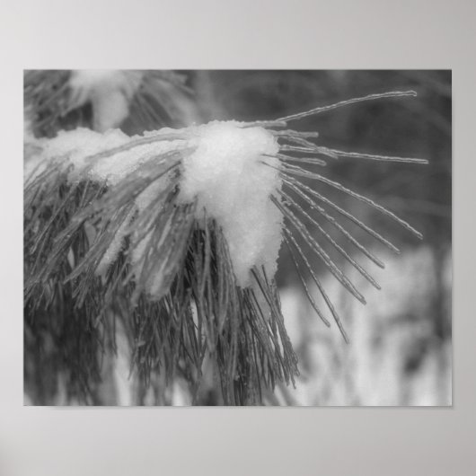 Schneepinsel Schwarz-weiße Natur drucken Poster (Vorne)