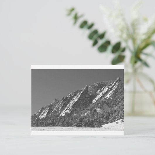 Schneepulver gegossene Flatironen Boulder CO BW Postkarte (Stehend Vorderseite)