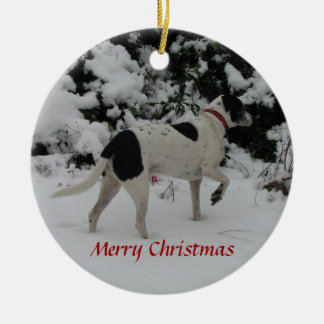 Schneepunkt Rio Keramik Ornament