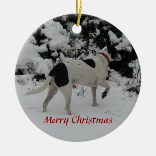 Schneepunkt Rio Keramik Ornament (Vorne)