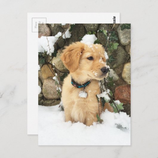 Schneepuppe Postkarte (Vorne/Hinten)