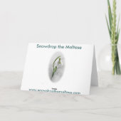 Schneeräumchen der Malteser zu Weihnachten (Rückseite)