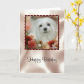 Schneeräumchen der maltesischen Geburtstagskarte Karte (Gelbe Blume)