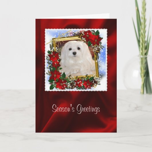 Schneeräumchen der maltesischen Weihnachtskarte Feiertagskarte (Vorderseite)