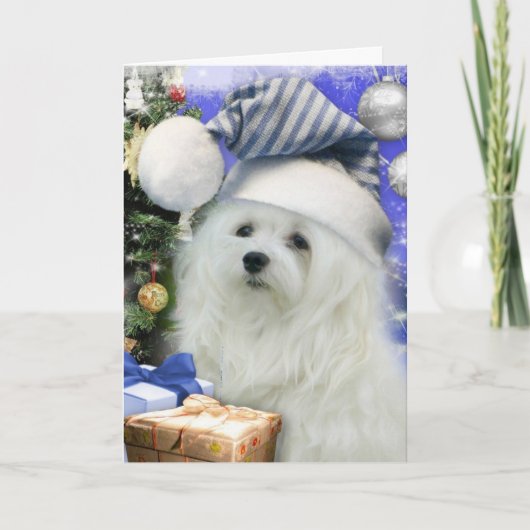 Schneeräumchen der maltesischen Weihnachtskarte Feiertagskarte (Vorderseite)