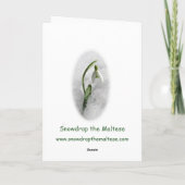 Schneeräumchen der maltesischen Weihnachtskarte Feiertagskarte (Rückseite)