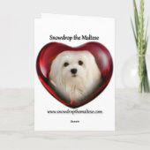 Schneeräumchen der maltesischen Weihnachtskarte Feiertagskarte (Rückseite)