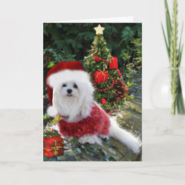 Schneeräumchen der maltesischen Weihnachtskarte Feiertagskarte