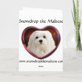 Schneeräumchen der maltesischen Weihnachtskarte Feiertagskarte (Rückseite)