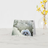 Schneeräumen der maltesischen Karte (Gelbe Blume)