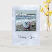 Schneeräumen Sie das Malteser "Denken Sie an Ihre  Karte (Gelbe Blume)