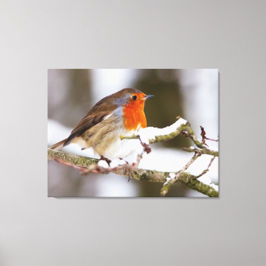 Schneerollen Leinwanddruck (Vorderseite)