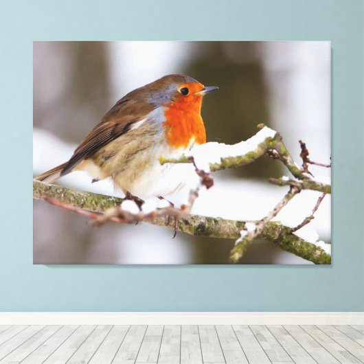 Schneerollen Leinwanddruck (Insitu (Holzboden))