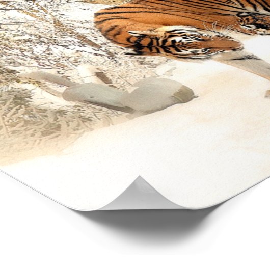 Schneeschauer Poster (Ecke)