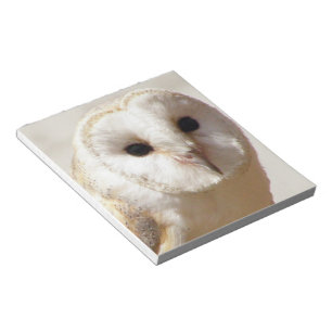 Schneeschleiereule Notizblock