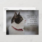 Schneeschlitten CC0381 Katzengedanken Postkarte (Vorne/Hinten)