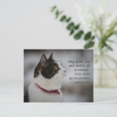 Schneeschlitten CC0381 Katzengedanken Postkarte (Stehend Vorderseite)