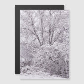 Schneeschlittenkarte Magnetkarte (Vorne/Hinten)