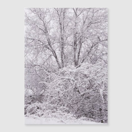 Schneeschlittenkarte Magnetkarte (Vorderseite)