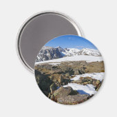 Schneeschmelzen auf den Felsen Magnet (Vorderseite/Rückseite)