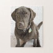 Schneeschokolade Labrador Fotografie Puzzle (Vertikal)