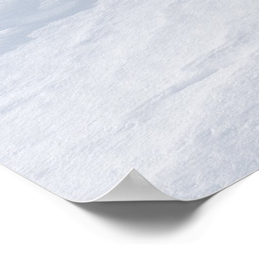 Schneeschub Poster (Ecke)