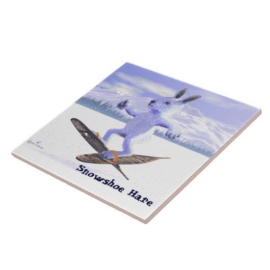 Schneeschuh Fliese (Seite)