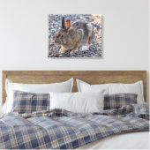 Schneeschuh-Hare-Foto Leinwanddruck (Insitu (Schlafzimmer))