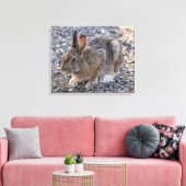 Schneeschuh-Hare-Foto Leinwanddruck (Insitu (Wohnzimmer))