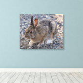 Schneeschuh-Hare-Foto Leinwanddruck (Insitu (Holzboden))
