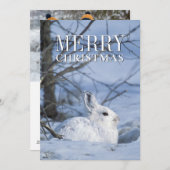 Schneeschuh-Hare im Schnee ruhen Feiertagskarte (Vorne/Hinten)