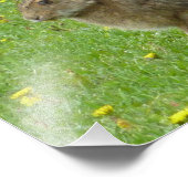 Schneeschuh-Hare-Lüstern Fotodruck (Ecke)