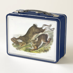 Schneeschuh Hare, Sommer (Northern Hare) von Audub Metall Brotdose