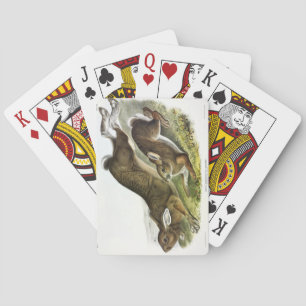 Schneeschuh Hare, Sommer (Northern Hare) von Audub Spielkarten