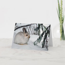 Schneeschuh Hare Winter Schnee Natur Szene Karte