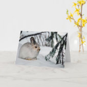 Schneeschuh Hare Winter Schnee Natur Szene Karte (Gelbe Blume)