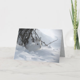 Schneeschuh-Hase unter Bush im Schnee Feiertagskarte