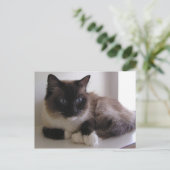 Schneeschuh Postkarte (Stehend Vorderseite)