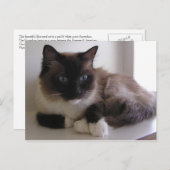 Schneeschuh Postkarte (Vorne/Hinten)