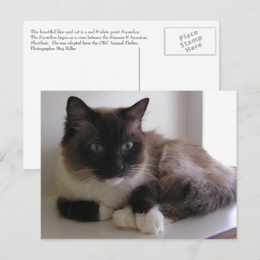 Schneeschuh Postkarte (Vorne/Hinten)