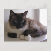 Schneeschuh Postkarte (Vorderseite)