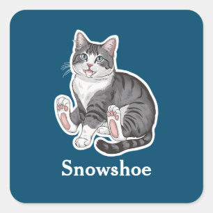 Schneeschuh Quadratischer Aufkleber
