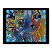 Schneeschuhblau supernatural kitty