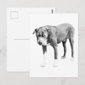 Schneeschuhbulle Postkarte (Vorne/Hinten)