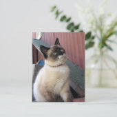 Schneeschuhe befördern postkarte (Stehend Vorderseite)