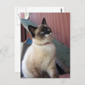 Schneeschuhe befördern postkarte (Vorne/Hinten)