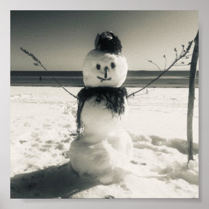 Schneeschuhfahrer Poster