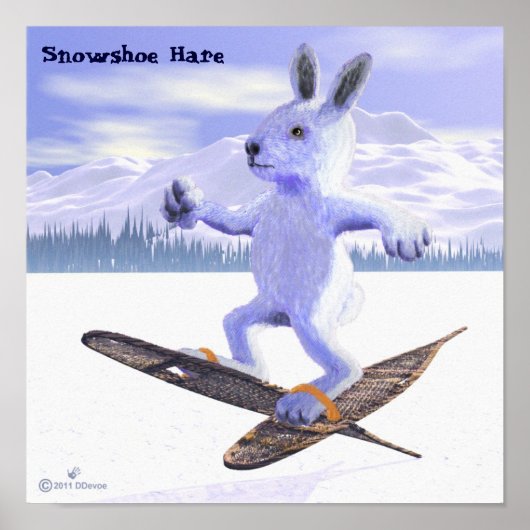 Schneeschuhhase Poster (Vorne)
