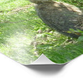 Schneeschuhhase sitzt aufrecht fotodruck (Ecke)