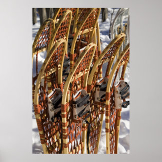 Schneeschuhklinik Poster